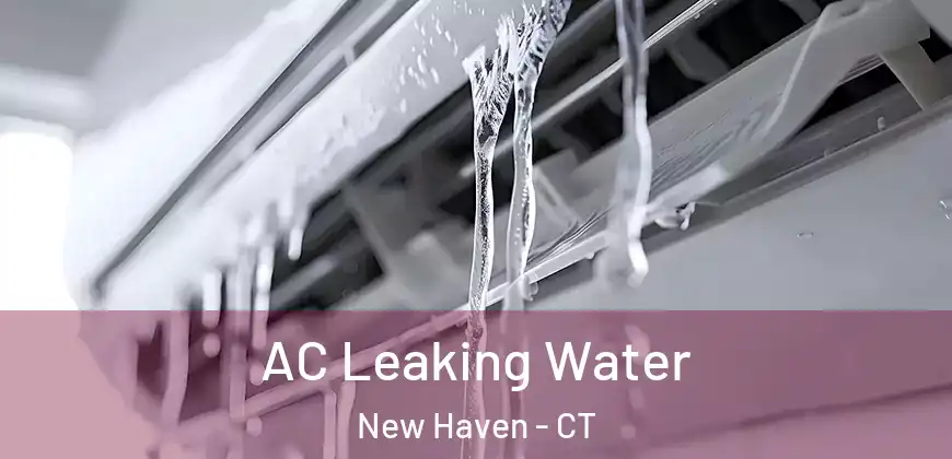 AC Leaking Water New Haven - CT