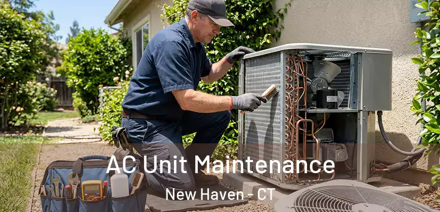 AC Unit Maintenance New Haven - CT